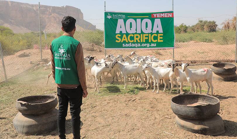 Aqiqa