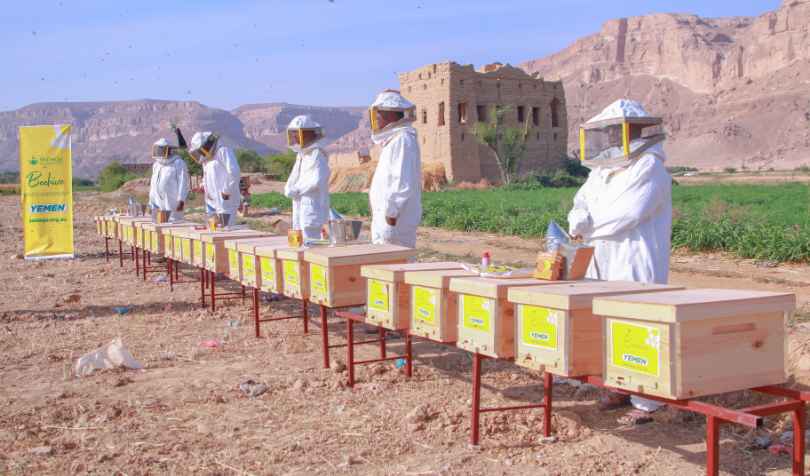 Yemen Beehive